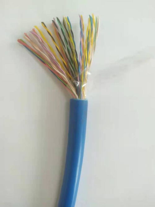 天联牌WDZ-KNX 2×2×0.8绿色护套通信电缆 专为KNX智能楼宇系统打造的高性能线缆